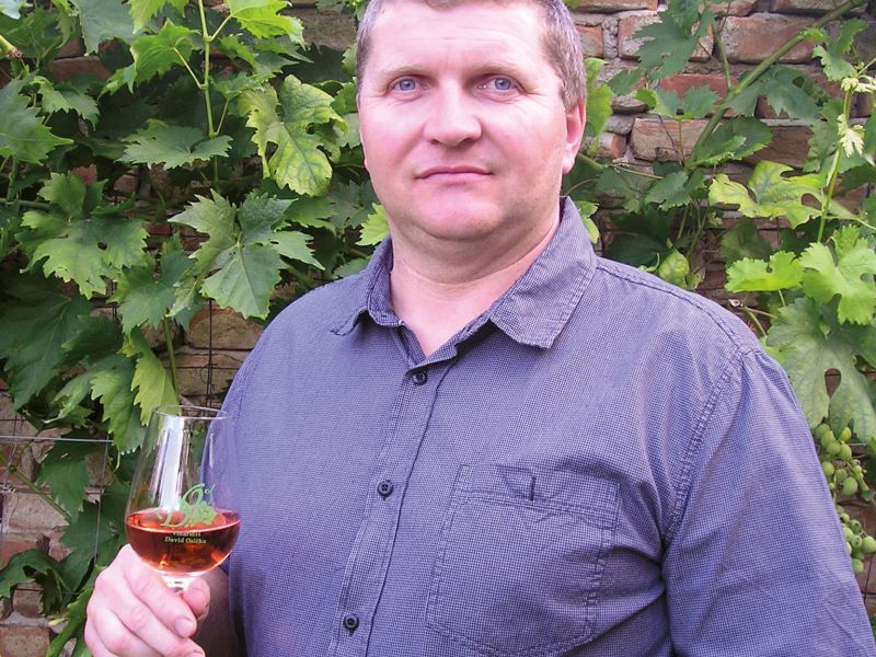 11. Vinařství David Osička