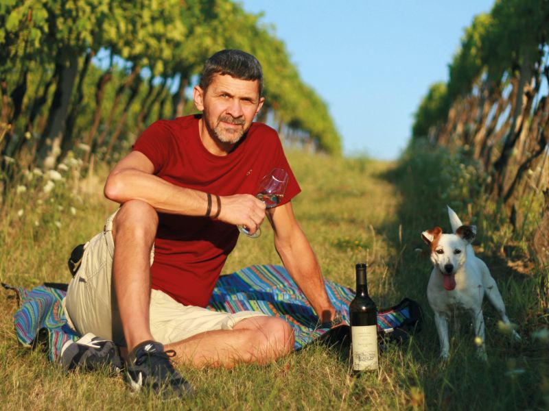 17. Vinařství Petr Vaněk