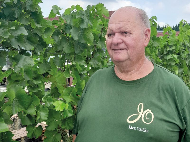 44. Vinařství Osička Jaroslav